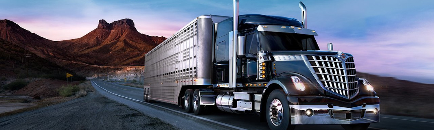 2020 International® Lonestar® for sale in Glover International Trucks, Red Deer, Alberta